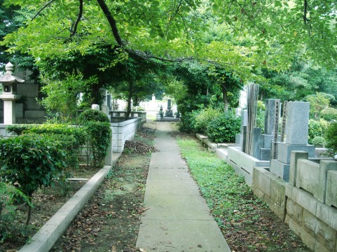 a0002_000581.jpg